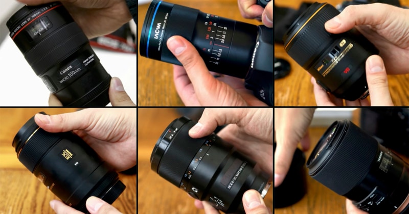 [Video] So sánh 6 lens macro điển hình của Laowa, Canon, Nikon, Sony, Sigma & Tamron
