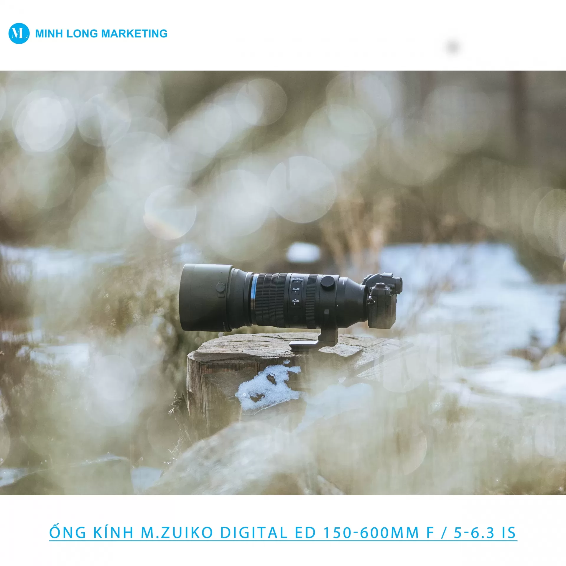 OM SYSTEM M.Zuiko Digital ED 150-600mm f/5-6.3 IS on OM-1 MII