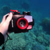- Vỏ dưới nước cho máy ảnh Olympus Tough TG-6 & TG-7 - Chống nước ở độ sâu 45 mét - Kiểm soát hoàn toàn tất cả các chức năng của máy ảnh - Ổ cắm chân máy 1/4 inch tiêu chuẩn trên đế cho khay chiếu sáng tùy chọn - Cấu trúc polycarbonate bền, chất lượng cao - Có lớp phủ màu đen ở mặt trước của vỏ để tránh phản xạ - Kính phủ nhiều lớp để giảm phản xạ bên trong