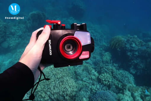 - Vỏ dưới nước cho máy ảnh Olympus Tough TG-6 & TG-7 - Chống nước ở độ sâu 45 mét - Kiểm soát hoàn toàn tất cả các chức năng của máy ảnh - Ổ cắm chân máy 1/4 inch tiêu chuẩn trên đế cho khay chiếu sáng tùy chọn - Cấu trúc polycarbonate bền, chất lượng cao - Có lớp phủ màu đen ở mặt trước của vỏ để tránh phản xạ - Kính phủ nhiều lớp để giảm phản xạ bên trong