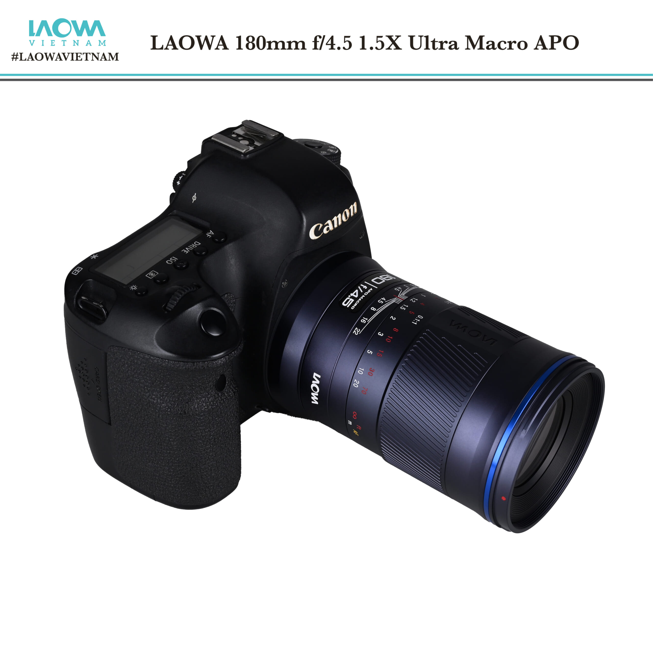 Ống kính LAOWA 180mm f/4.5 1.5X Ultra Macro APO - Ảnh 6