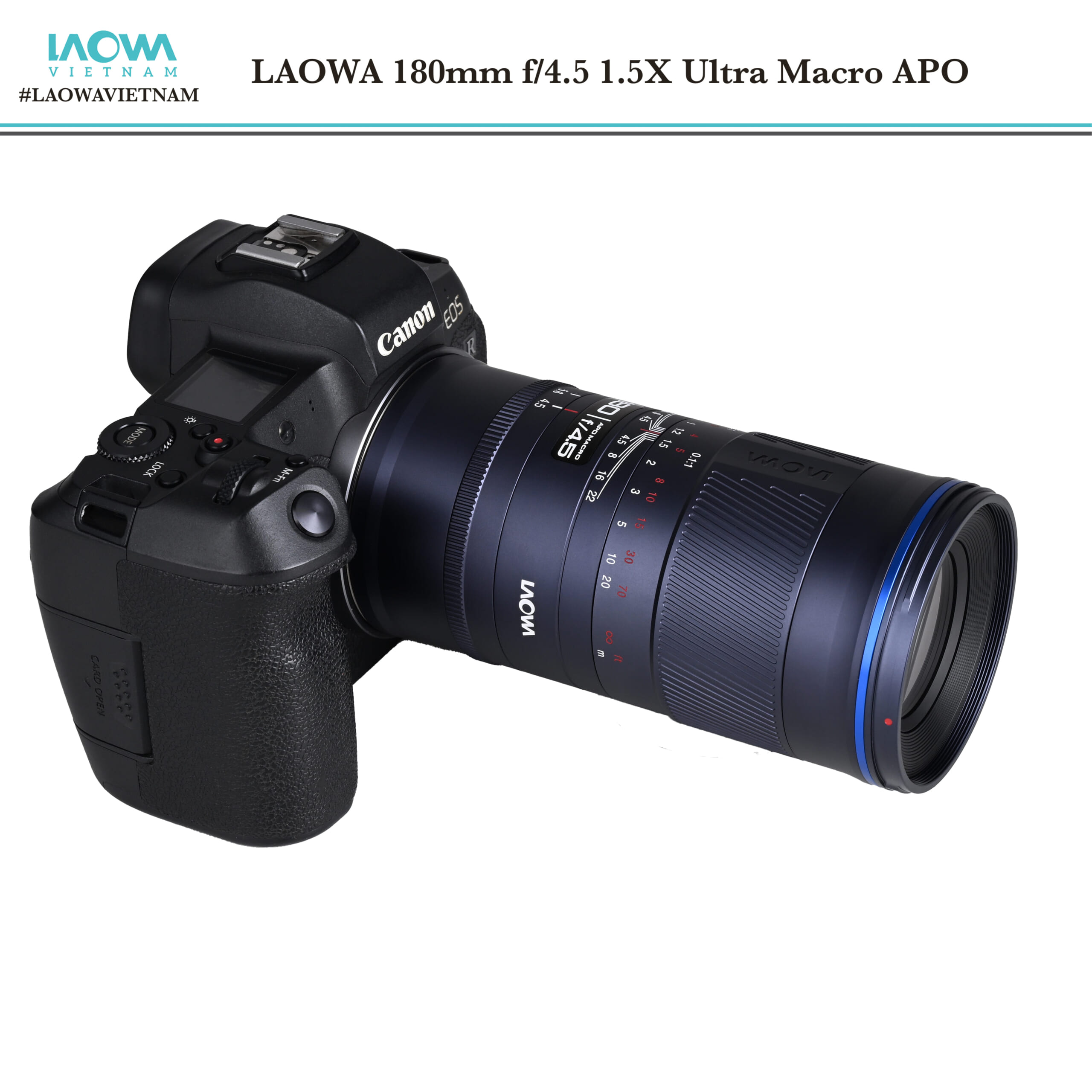 Ống kính LAOWA 180mm f/4.5 1.5X Ultra Macro APO - Ảnh 7